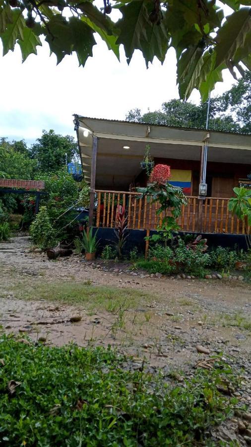 Hostal Cano Nevera La Macarena Exterior foto